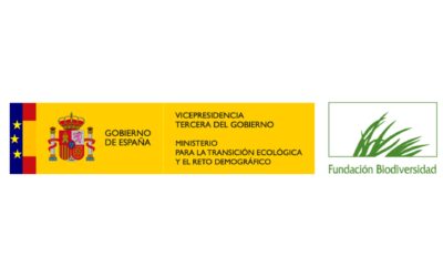 Convocatoria Proyectos Transformadores de Bioeconomía (ámbito forestal)